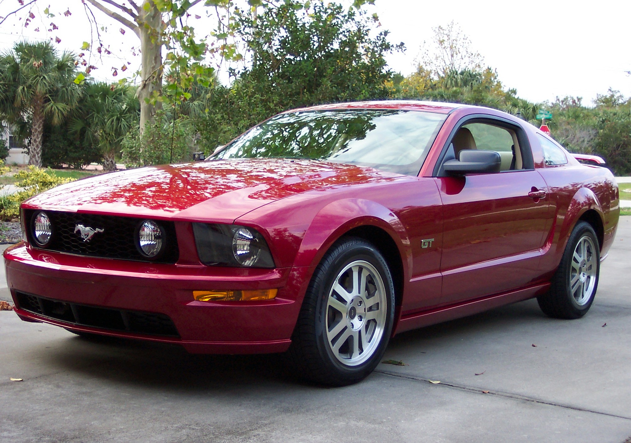 2005 Paint Codes – S197 Mustang